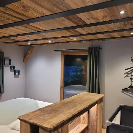 Le Passionnant * Morzine